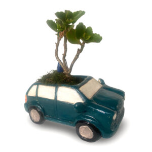 Blue Car Planter