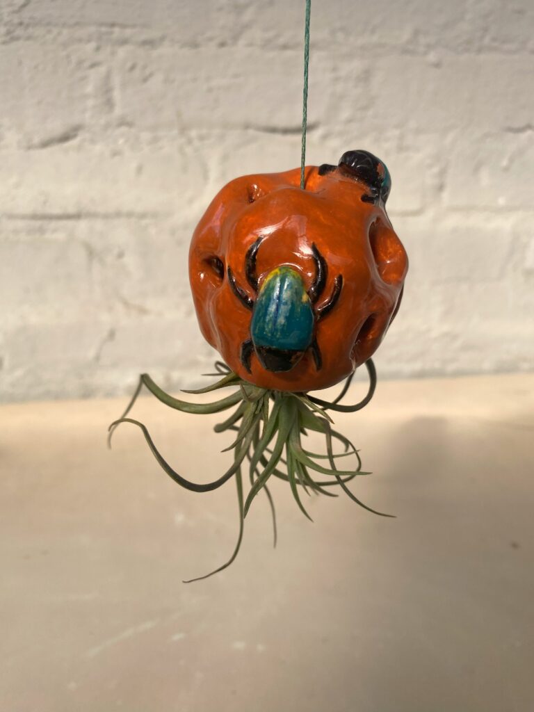 Bugs